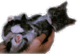 hand.gif (21977 bytes)