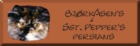 BjorkAsen & Sgt.Peppers's Persians
