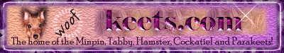 keets.com