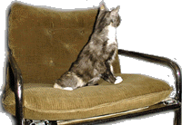 ljud.gif (83403 bytes)