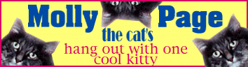 Molly the cat's page