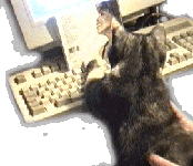 mykb.gif (18782 bytes)