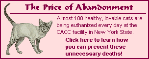 The Price of Abandoment