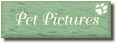 Pet Pictures