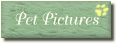 Pet Pictures