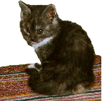 matta3.gif (6840 bytes)