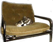 slick.gif (39409 bytes)