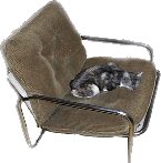 snark.gif (12703 bytes)