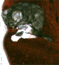 soffa.GIF (25620 bytes)