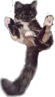 tail.gif (42841 bytes)
