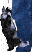 thread.gif (14628 bytes)