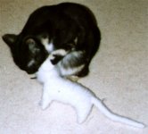 toy.jpg (5425 bytes)