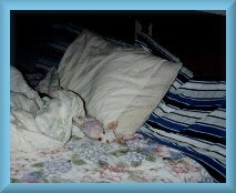 sleep