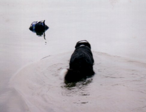 /user/scuba001.JPG