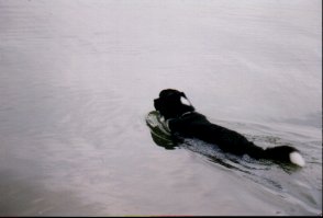 /user/swim001.JPG