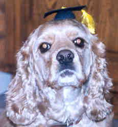 graduation