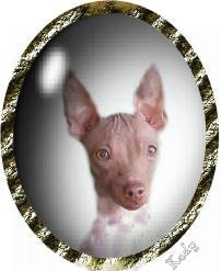 DeeDee