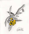 treeDrawing.jpg (30345 bytes)