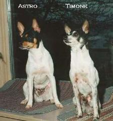 "If we 'SIT/STAY' good we'll get a treat!!"