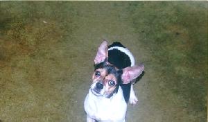 Is it a treat?