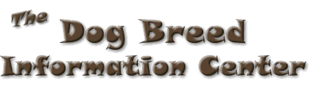 Dog Breed Info