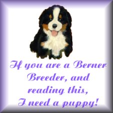 needpuppy.jpg (11175 bytes)