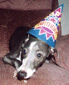 runbday_sm.gif (11372 bytes)