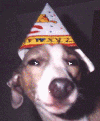 sydbday_sm.gif (9196 bytes)