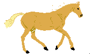 Galloping Horse