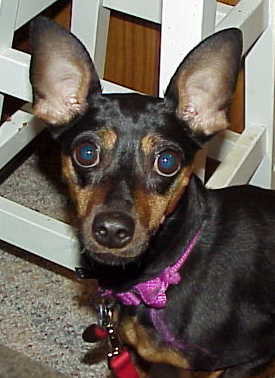 Annie