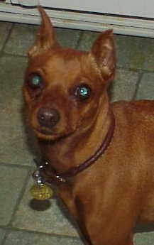 Beverly