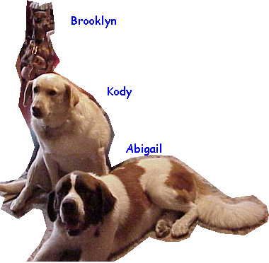 Brooklyn and family