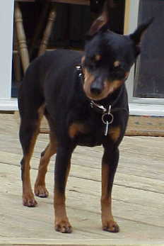 Celie Jane