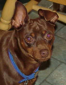 Beverly