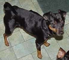 Jack