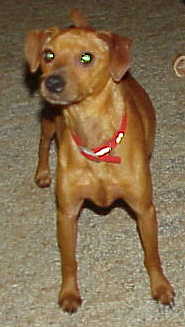 Jimmy Dean