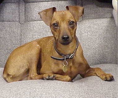 Lucy2