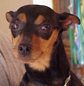 Missy