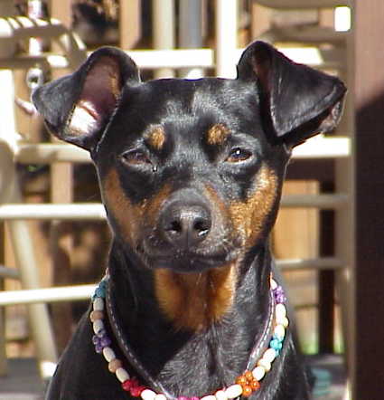 Murphey