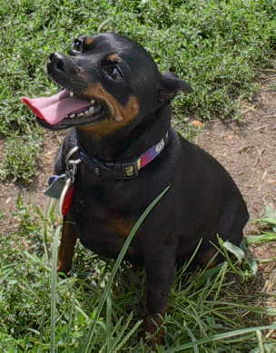Nikita