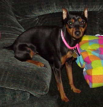Princess