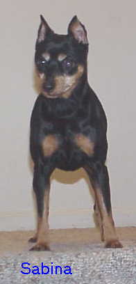 Sabina