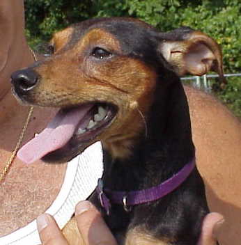 Shiloh