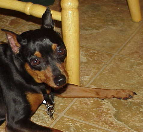 Spike