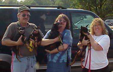 Toby & Jerry and New Family