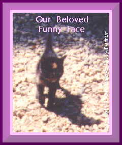 We miss you sweetie!