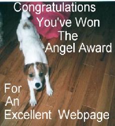 Angel Award