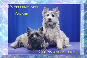 Cairns and Friends
