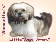 Samantha's Angel Award