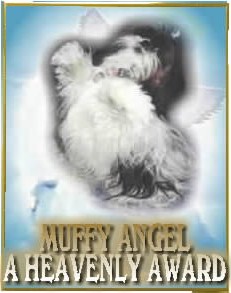 Muffy Angel Award